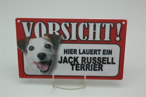 Jack russell terrier - russell,