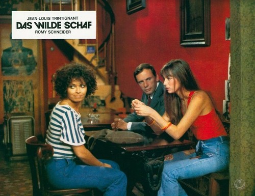 Das wilde schaf original - wilde,