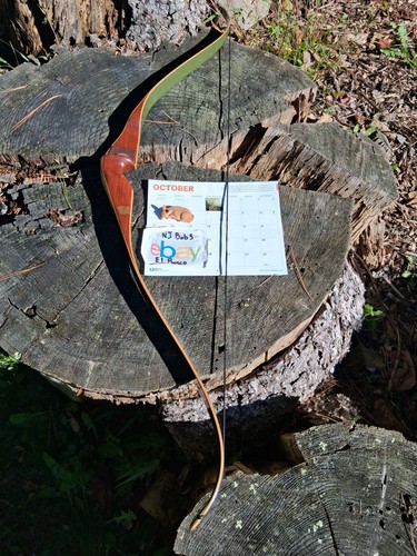 Vintage bear archery kodiak - vintage,