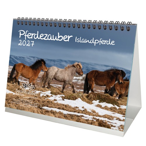Pferdezauber islandpferde din - pferdezauber,