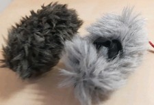 2 kleine Meerschweinchen