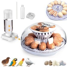 12Eier Inkubator Brutkasten