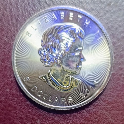 Maple leaf dollars - maple,