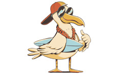 Möwe Maritim Cartoon