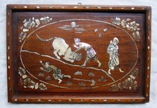 Asiatisches Perlmutt Bild auf