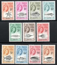 Tristan Da Cunha Scott 28-38