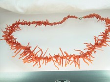 Schöne große Korallenkette