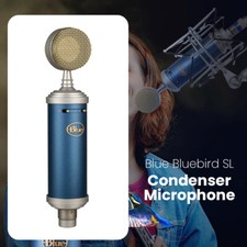 Blue Bluebird SL Studio