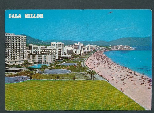 Cala - (12848),