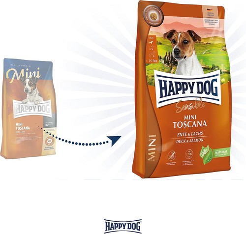 Happy dog sensible mini - dog,
