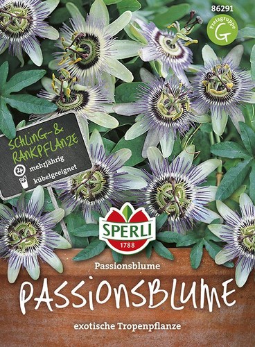 Passionsblume sperling - passionsblume, sperling´s