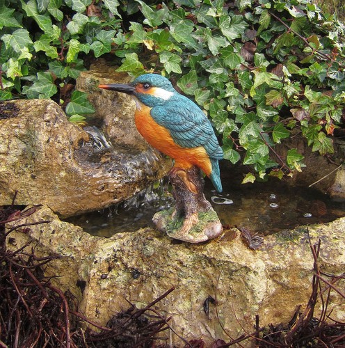 Eisvogel auf stamm - stamm, figur