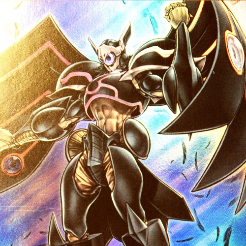 Crow schwarzflügel deck - schwarzflügel,