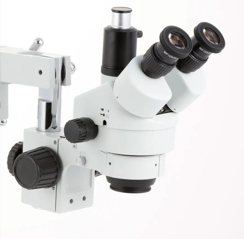 Mikroskop amscope 4tp mit - mikroskop,