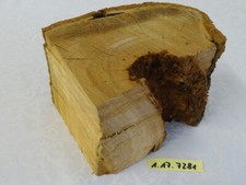 Zwetschgenholz Pflaumenholz