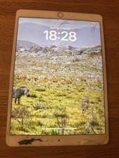 Apple iPad Pro 10,5″ 256 GB