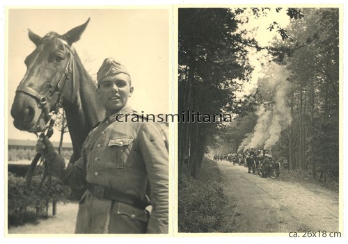 Orig riesen foto ir - riesen,