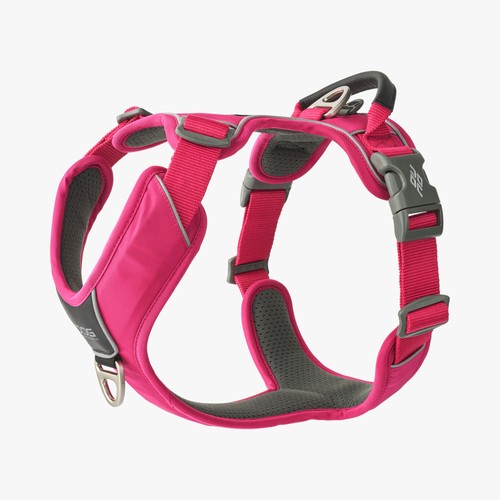 Dog copenhagen comfort walk - v3,