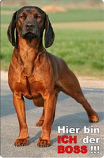 Bayerischer GEBIRGSSCHWEIßHUND - A4 Alu Warnschild Hundeschild ALU - BAY 02 T7