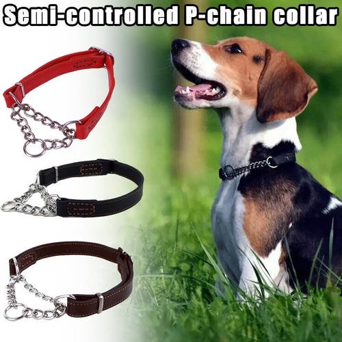 Hundehalsband zugstopphalsband - hundehalsband,