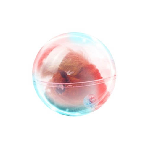 Hamster ball for cats - hamster,