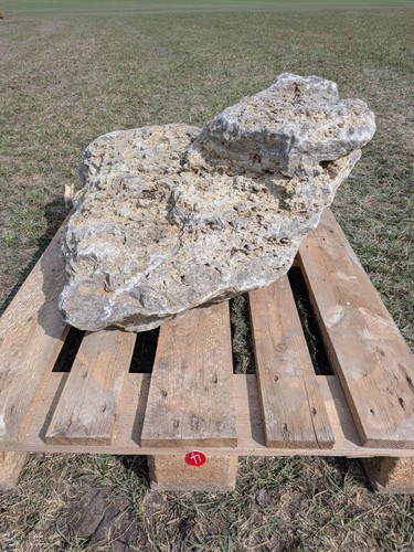 Muschelkalk felsen lbh 94 - (lbh,