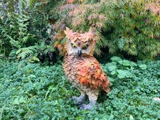 Eule Herbst Waldtier Raubvogel