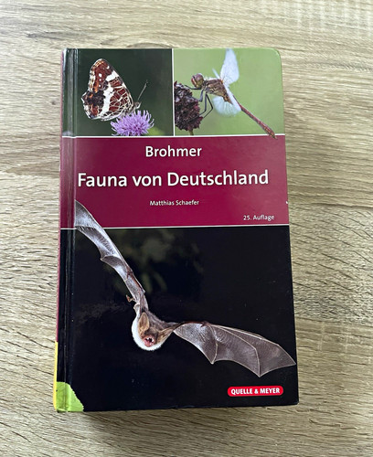 Brohmer fauna von - brohmer,