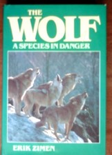 THE WOLF, A SPECIES IN DANGER