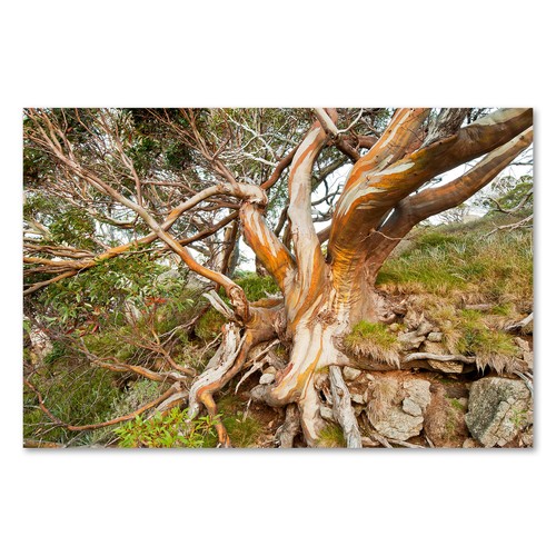 Postereck 3890 poster leinwand - 3890,