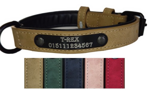 Hundehalsband halsband name - halsband,