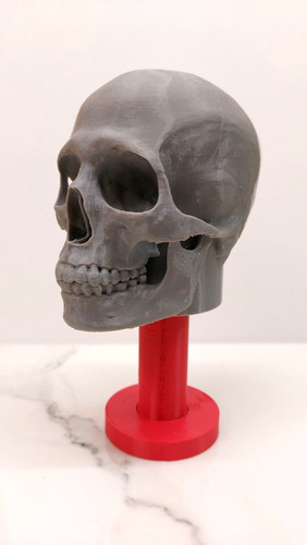 Totenkopf skull abdeckkappe - totenkopf,