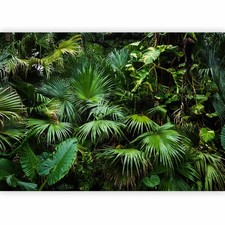 DSCHUNGEL MONSTERA PALMEN