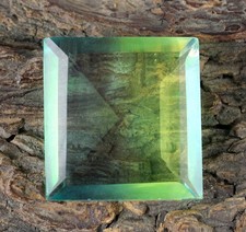 Brasilianischer Zweifarbig