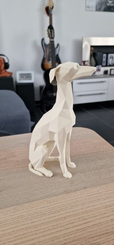 Windhund galgo windspiel - /, /
