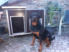 HUNDEHÜTTE ISOLIERT MIT VERSPIEGELTEM FENSTER