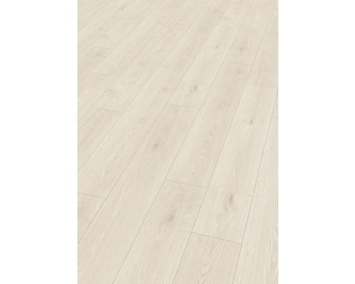 Laminat treviso eiche - 10.0,