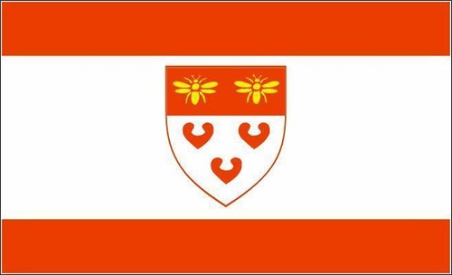 Fahne flagge ladbergen 30 - fahne, 20