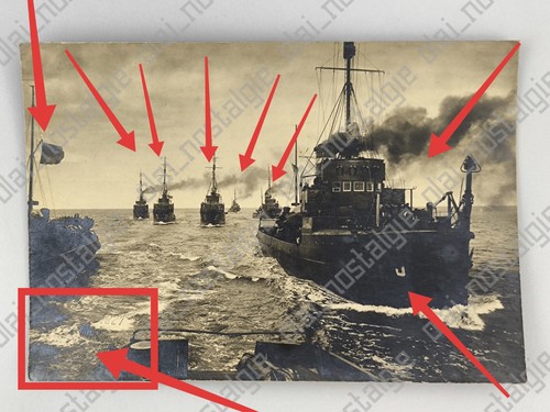 Foto schäfer kiel - foto,