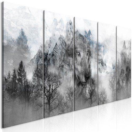 Wolf natur wald nebel vlies - wald,
