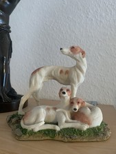 Seltene Windhund Greyhound Dog