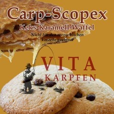 Angel, Karpfen Futter Scopex