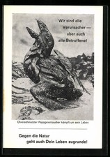 Ansichtskarte Ölverschmutzter Papageientaucher an der Küste 