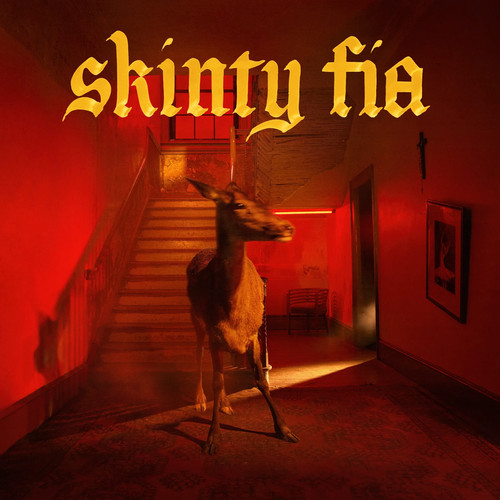 Fontaines skinty fia cd - fontaines,