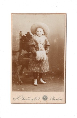 Cdv foto feines junges - cdv,