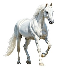 100x stickers horse - 100x,