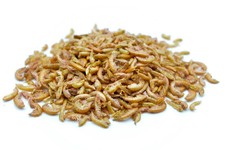 0,2 - 20 KG, Bachflohkrebse -