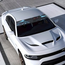 Universal Auto Aufkleber