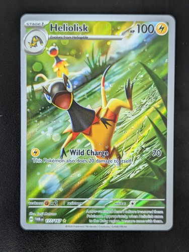 Pokémon elezard secret - pokémon,