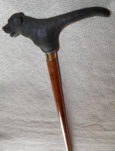 Antiker baum spazierstock - antiker, /
